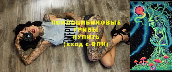 тгк Армянск