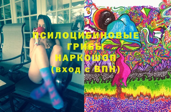тгк Армянск